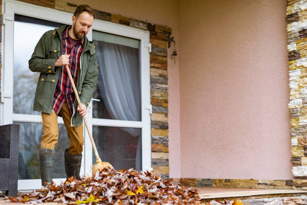 Best Junk Removal Near Me  in Grandview, IL